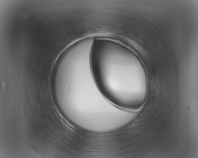 X0000083651356200702120825
