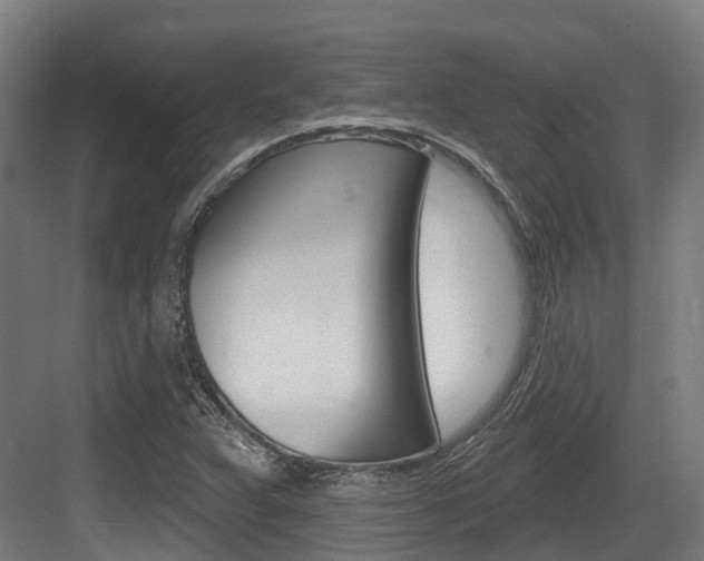 X0000083651359200702120825