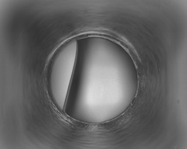 X0000083651360200702120825