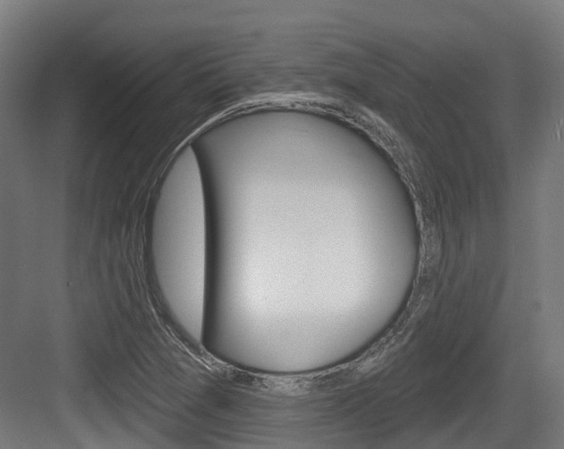 X0000083651361200702120825