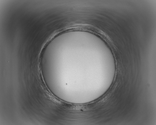 X0000083651362200702120825