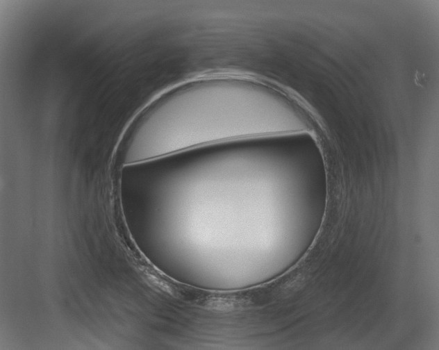 X0000083651364200702120825
