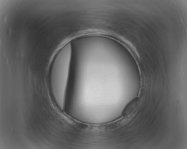 X0000083651365200702120825