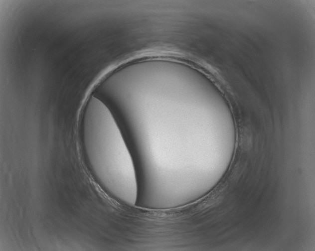 X0000083651366200702120825