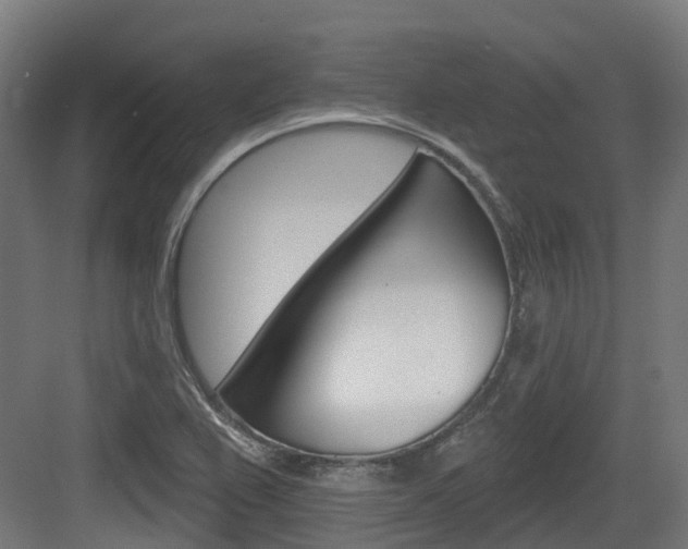 X0000083651367200702120825