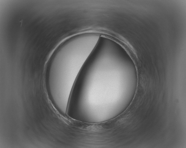 X0000083651368200702120825