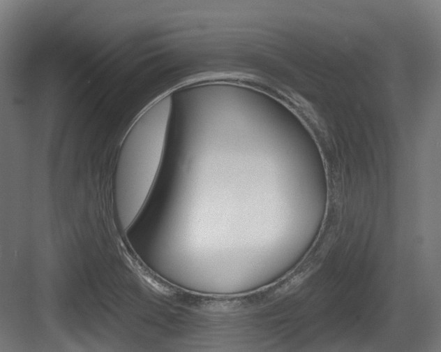 X0000083651369200702120825
