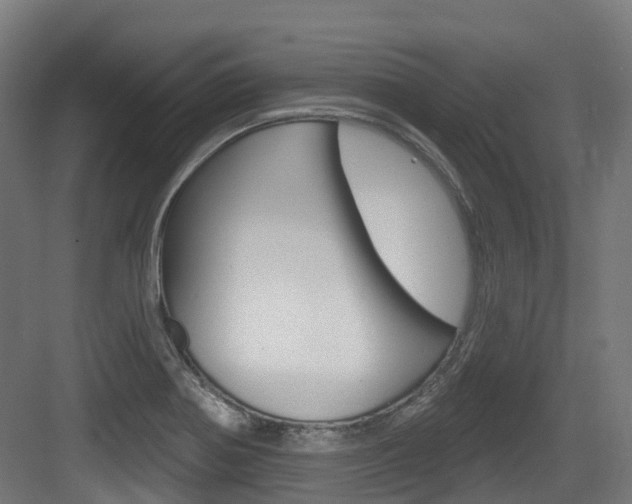 X0000083651370200702120825