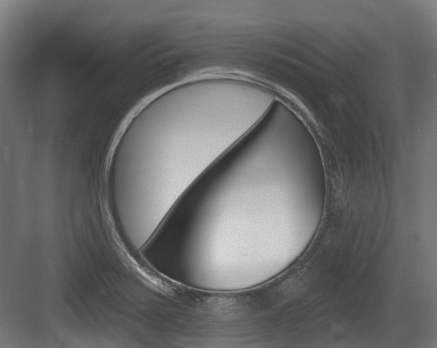 X0000083651371200702120825