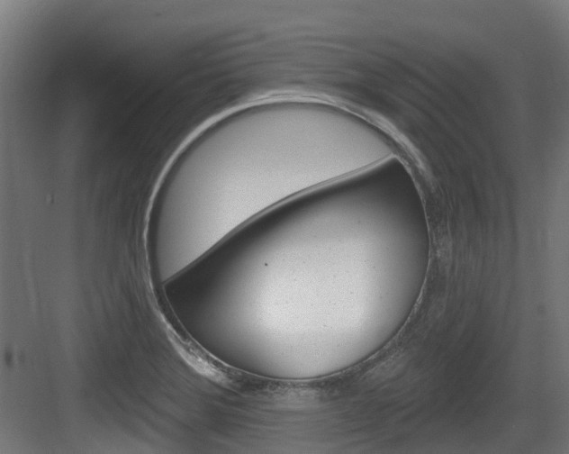 X0000083651372200702120825