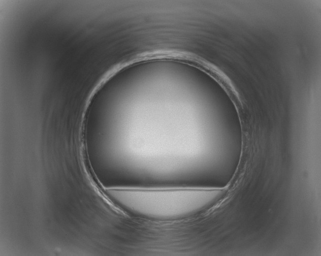 X0000083651373200702120825
