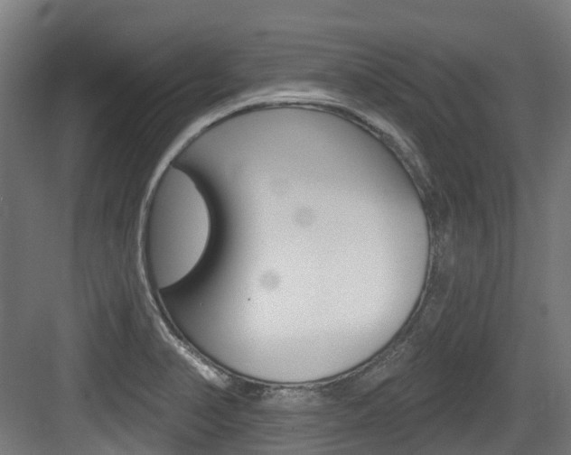 X0000083651374200702120825