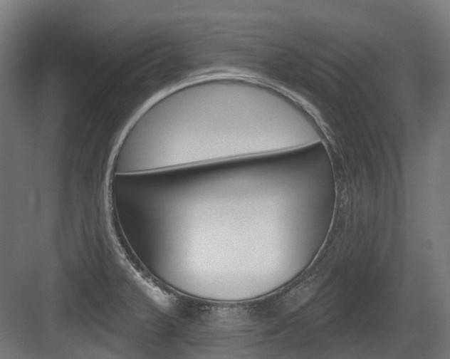 X0000083651375200702120825