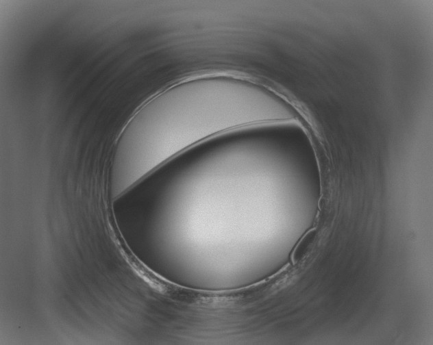 X0000083651377200702120825