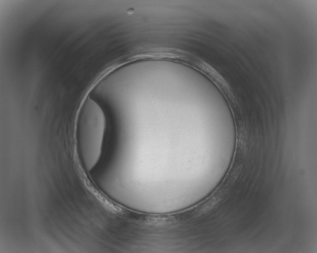X0000083651378200702120825