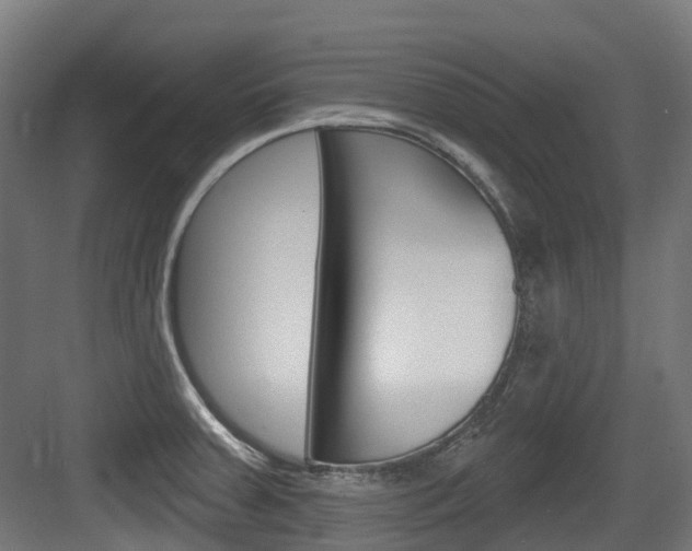 X0000083651379200702120825