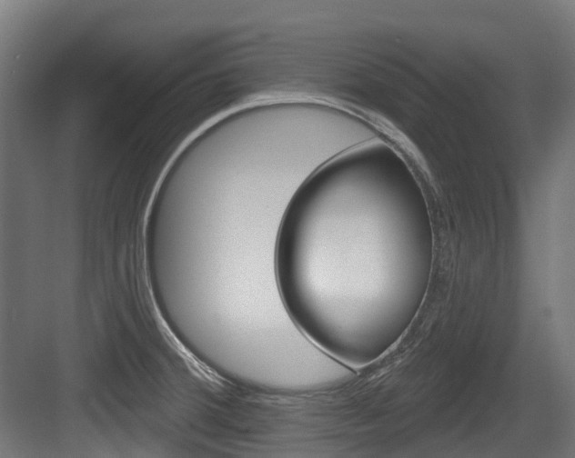 X0000083651380200702120825