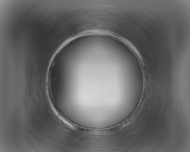 X0000083651381200702120825