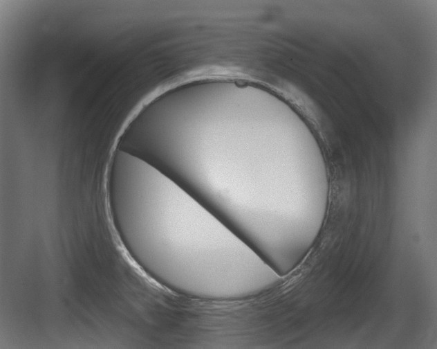 X0000083651382200702120825