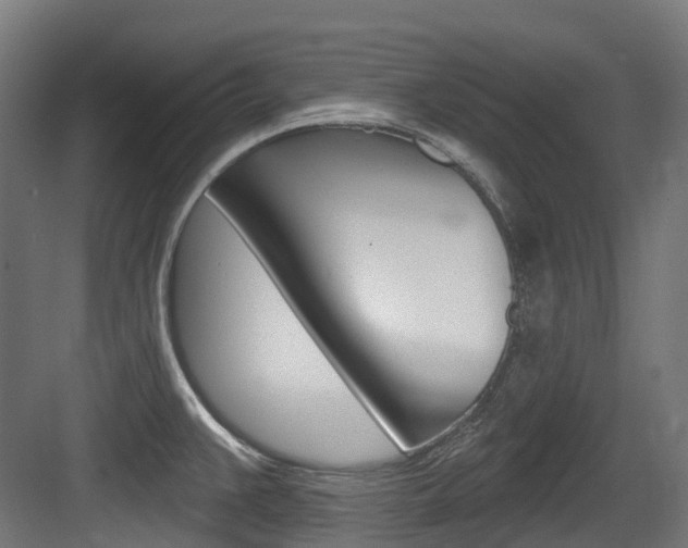 X0000083651383200702120825
