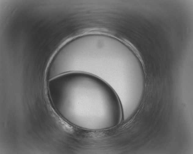 X0000083651384200702120825