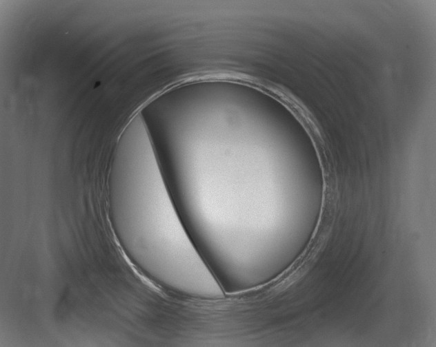 X0000083651385200702120825