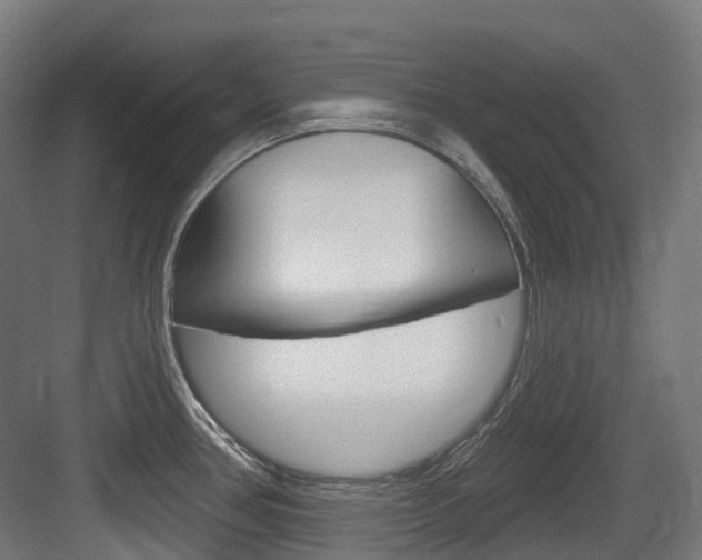 X0000083651386200702120825