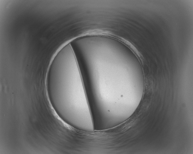 X0000083651387200702120825