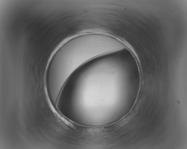 X0000083651389200702120825