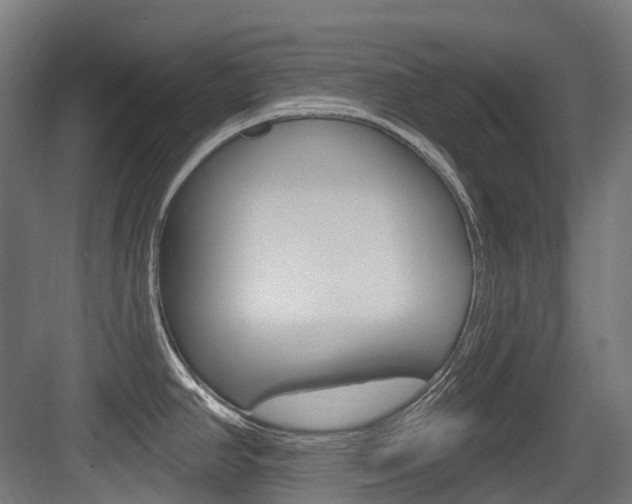 X0000083651390200702120825