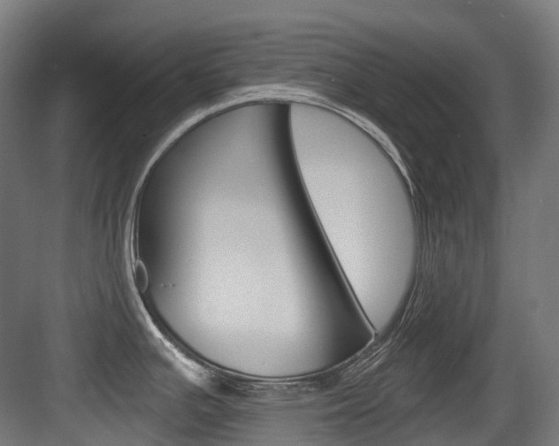 X0000083651391200702120825