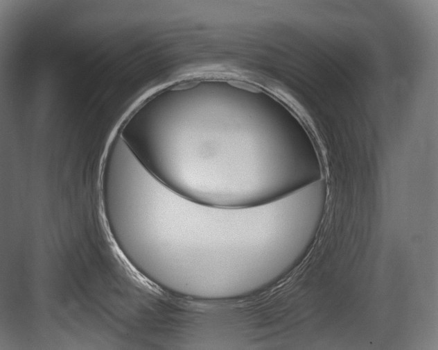 X0000083651392200702120825