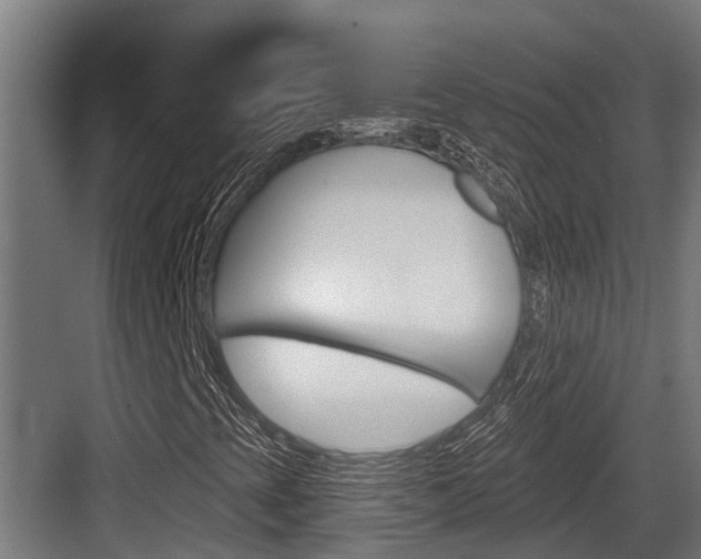 X0000083651393200702120824