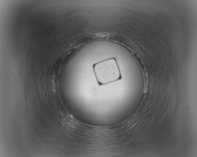 X0000083651394200702120824