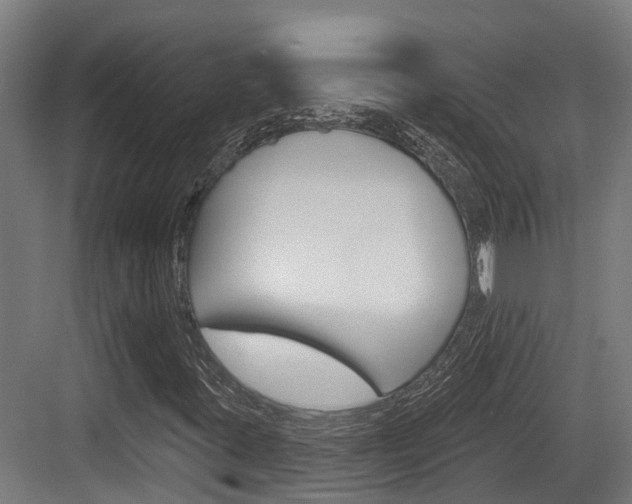 X0000083651395200702120824