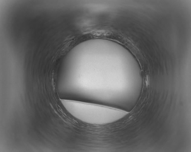 X0000083651396200702120824