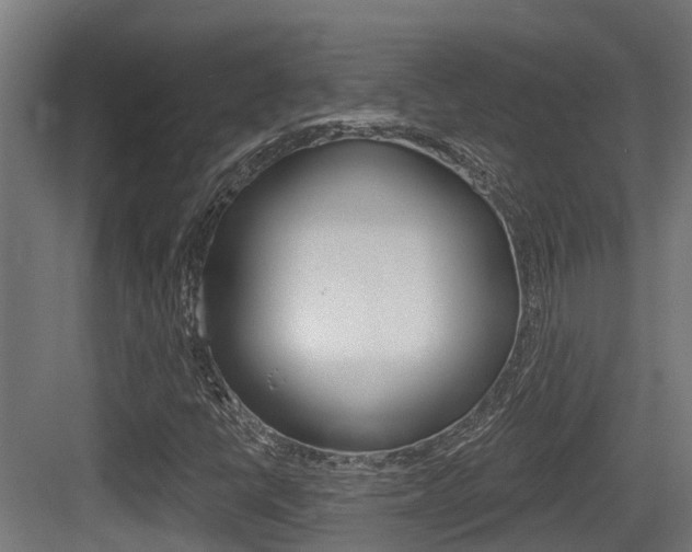 X0000083651398200702120824