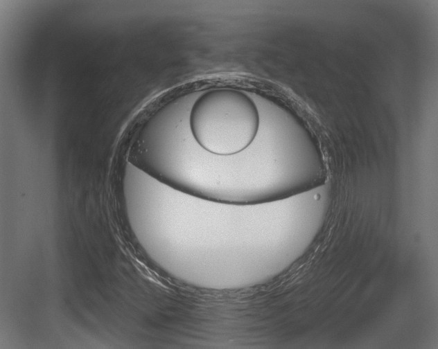 X0000083651400200702120824