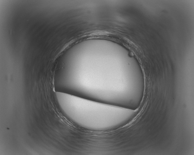 X0000083651401200702120824