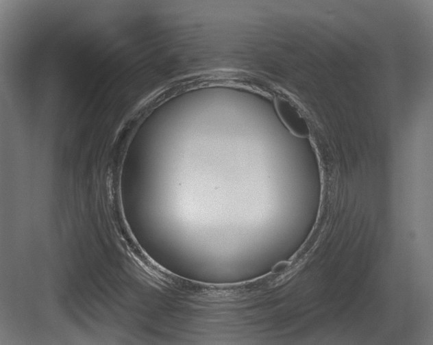 X0000083651402200702120824