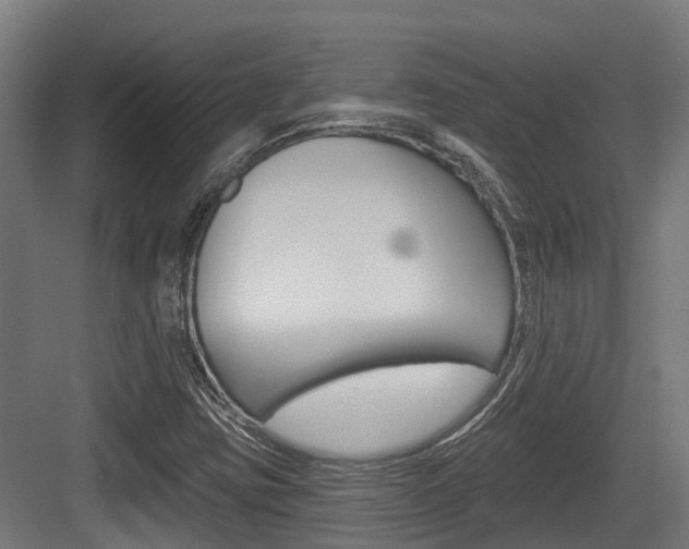 X0000083651403200702120824