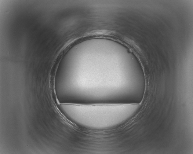 X0000083651404200702120824