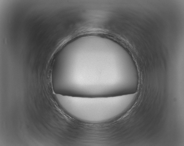 X0000083651405200702120824