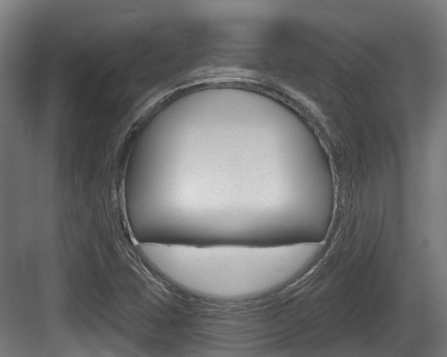 X0000083651407200702120824