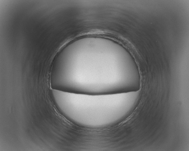 X0000083651409200702120824