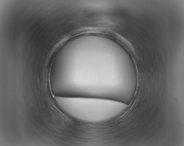 X0000083651411200702120824