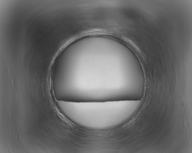 X0000083651413200702120824
