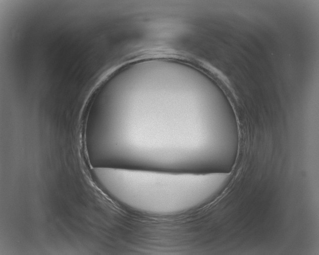 X0000083651415200702120824