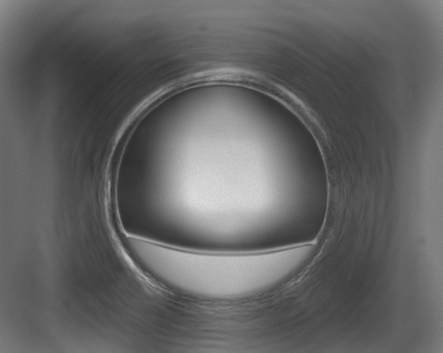 X0000083651418200702120824