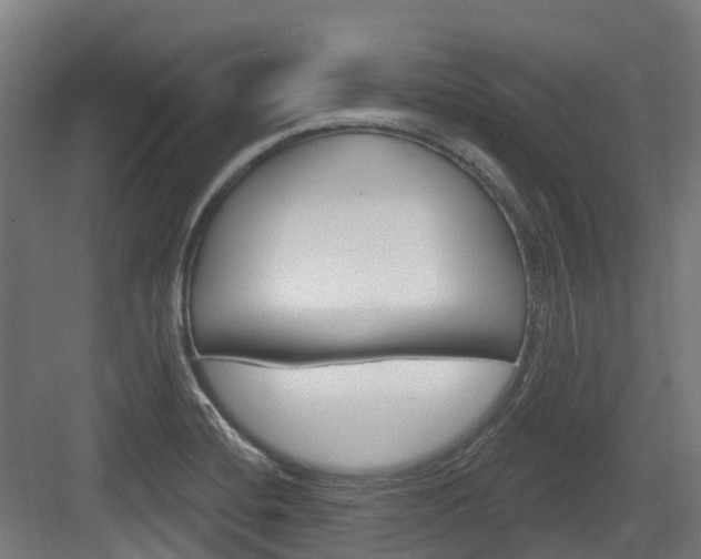 X0000083651420200702120824